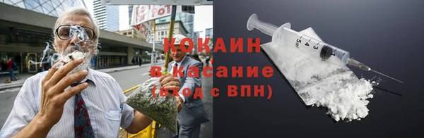 индика Новодвинск
