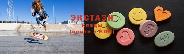 индика Новодвинск