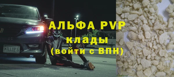 индика Новодвинск