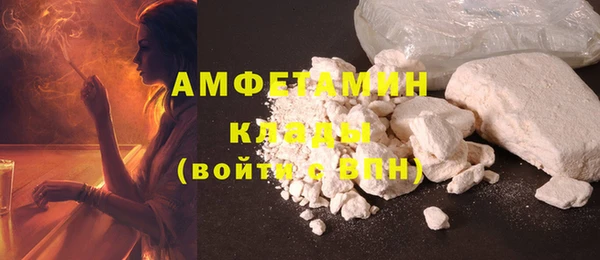 шишки Новозыбков