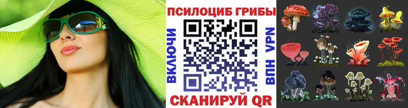 Галлюциногенные грибы ЛСД  купить  сайты  Северобайкальск 